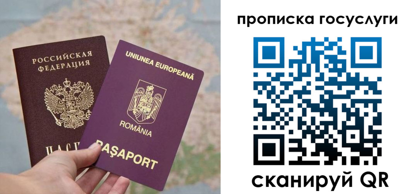 прописка паспорт в Покрове
